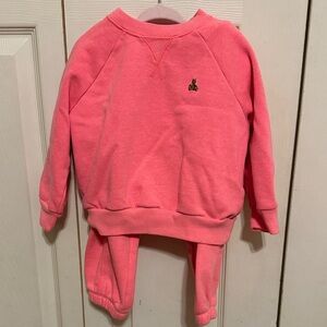 Cozy Pink Toddler Crew neck and Jogger set